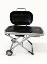 Luxe gas barbecue
