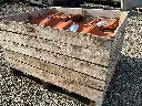 Lot dakpannen 110stuks Monier-Belfeld incl bak
