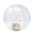 ICA GD10025 Speelbal voor Knaagdieren, 25 cm Transparant