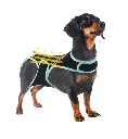 Rugsteun voor Honden, Ondersteuning bij Herstel en Revalidatie van Blessures (S)